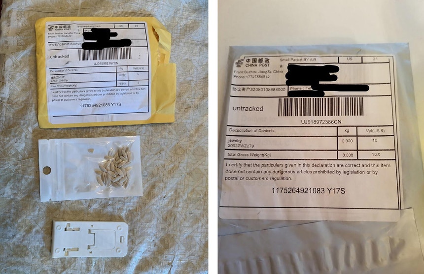 Imagens de envelopes contendo sementes, alegadamente enviados da China para os EUA,  divulgadas a 28 de julho de 2020 pelo Departamento de Agricultura de Maryland 
