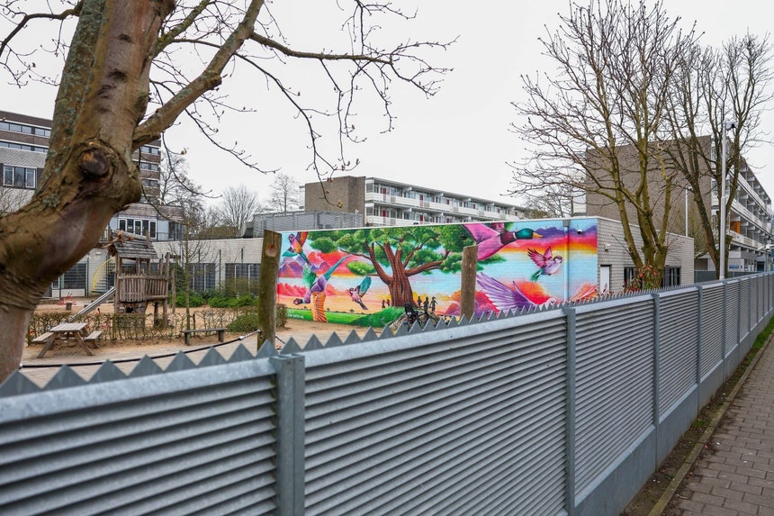 Imagem de Israel pede medidas ao Governo neerlandês para conter 