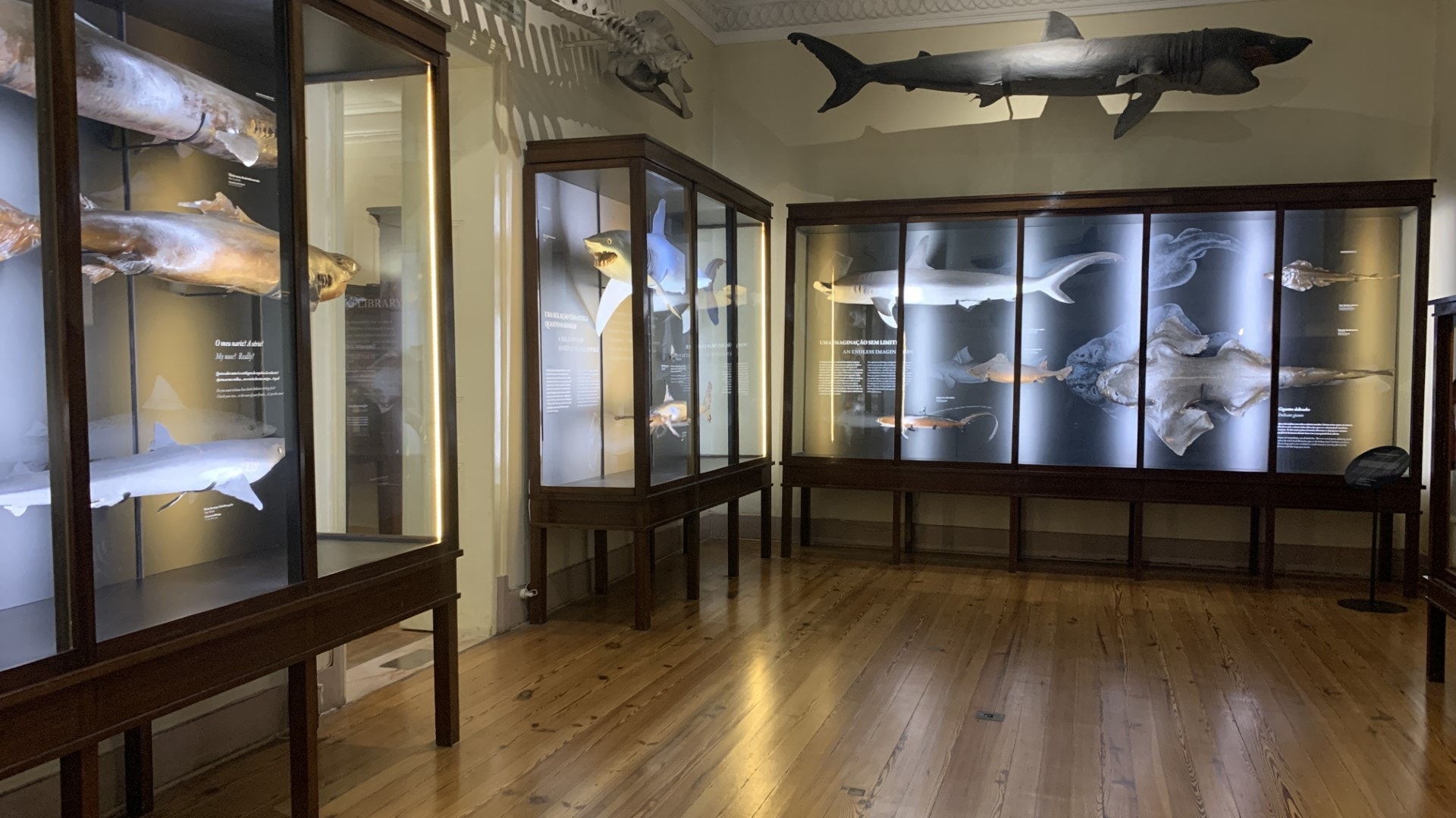  Foto: Arlinda Brand&atilde;o - Antena 1 