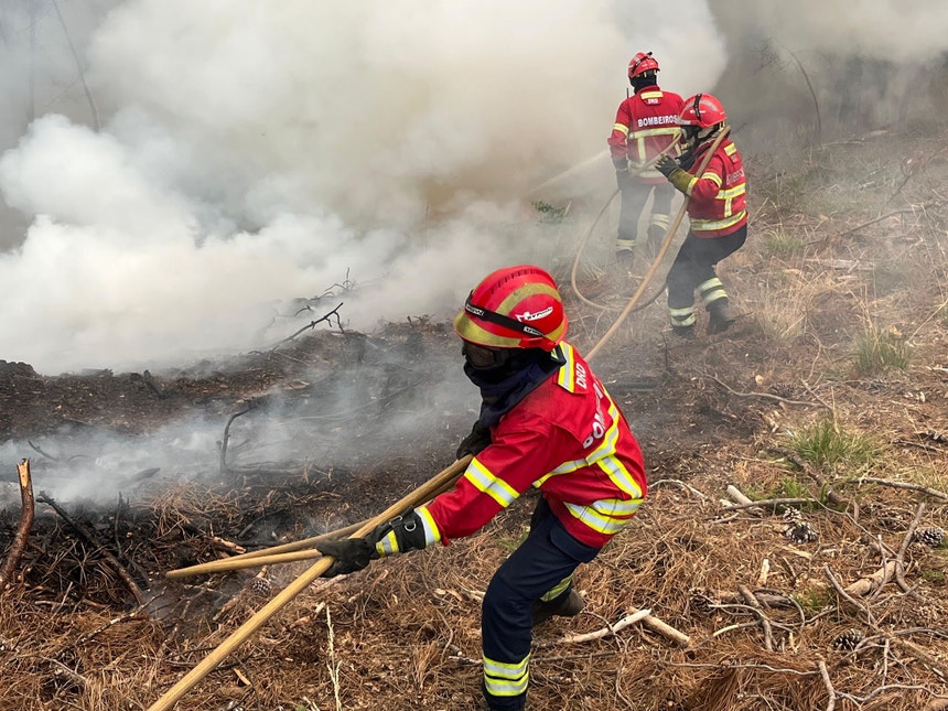Imagem de Incêndios. Interior de Portugal continental em perigo máximo e muito elevado