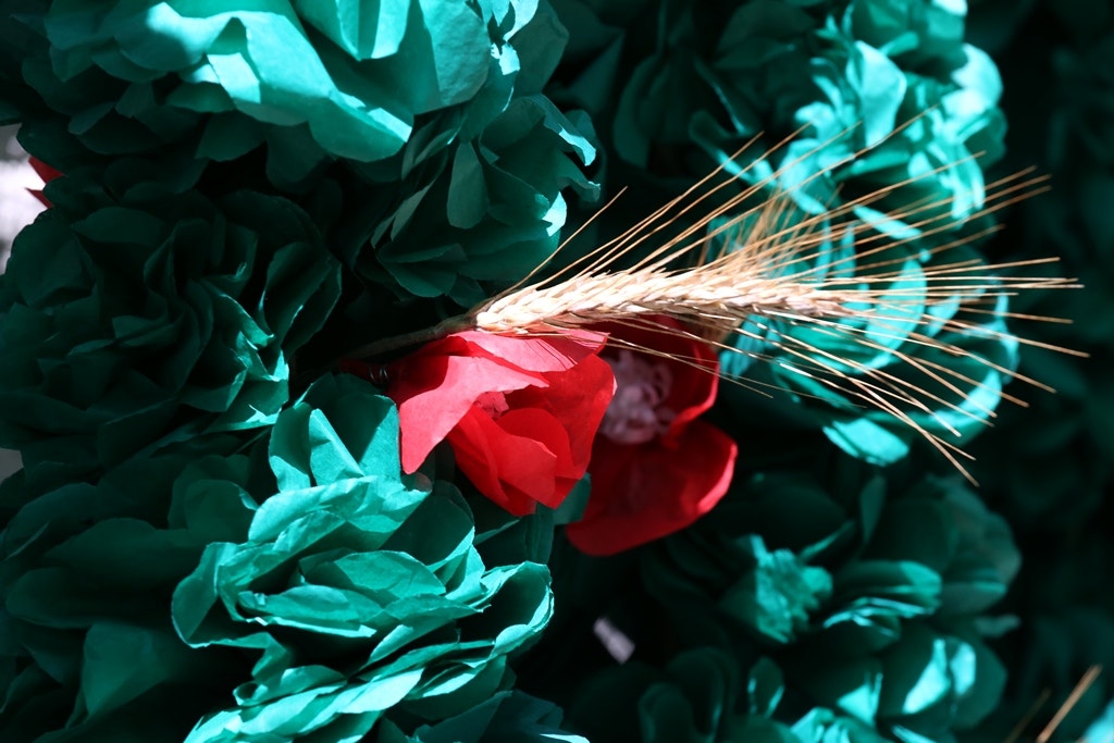  Nuno Patr&iacute;cio - RTP 