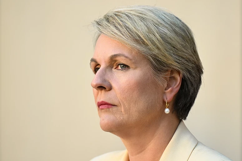 "Esta será a maior zona solar do mundo, fazendo da Austrália o líder mundial em energia verde", sublinhou Plibersek
