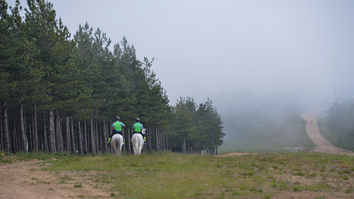  Foto: David Ara&uacute;jo - RTP 