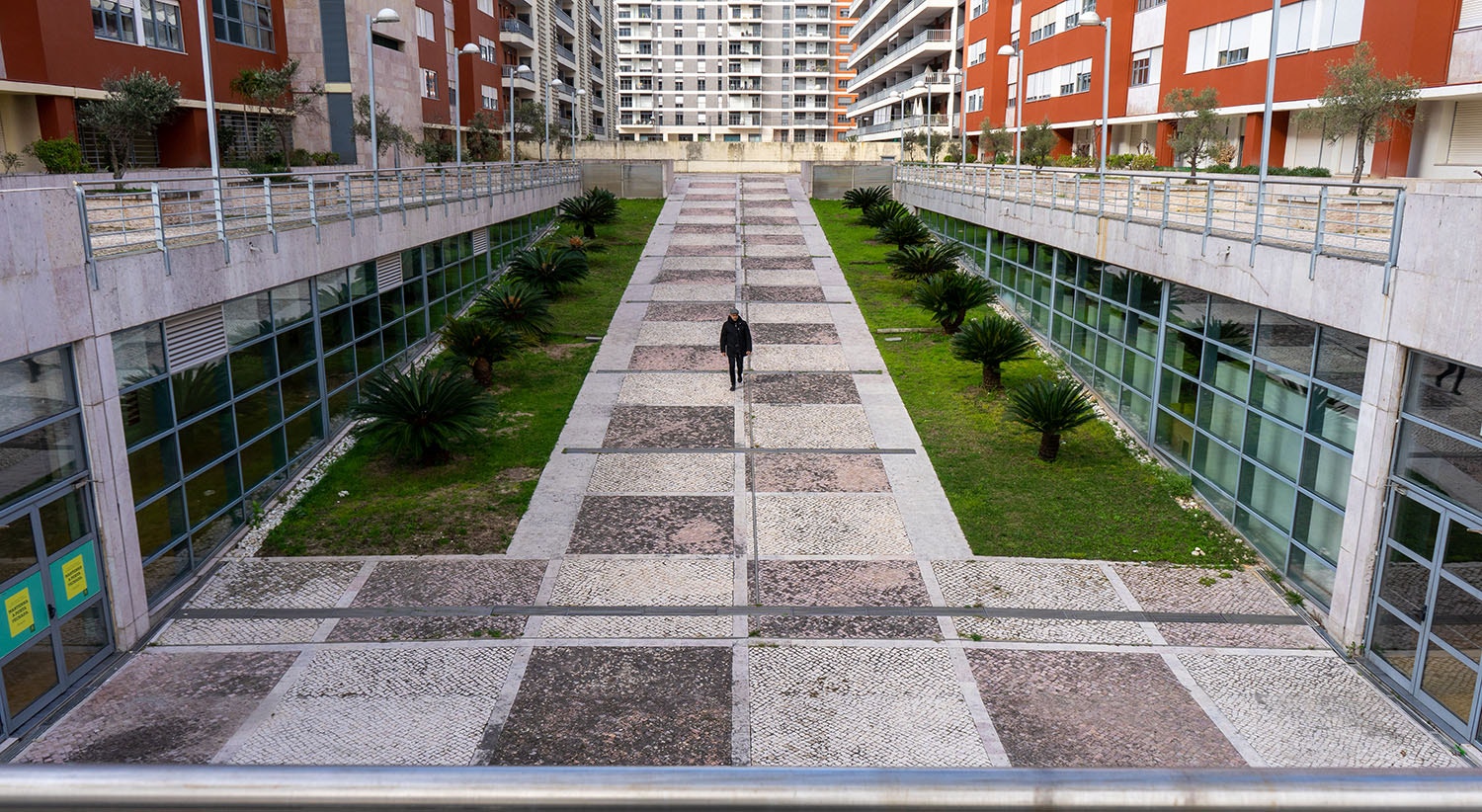  Cartoonista Andr&eacute; Carrilho | Foto: Rodrigo Lobo - RTP 