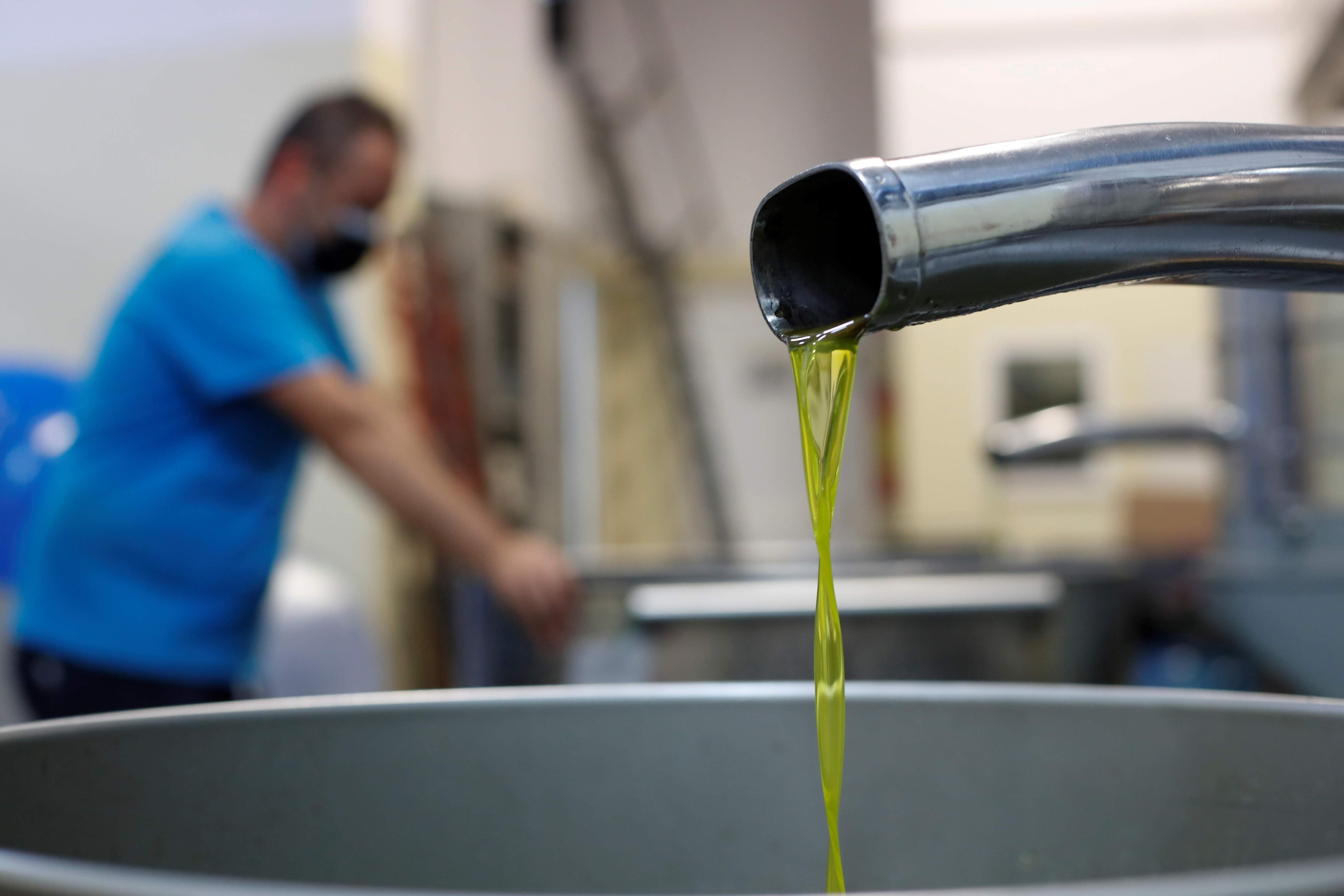 Azeite português entre os primeiros produtos a ter passaporte digital