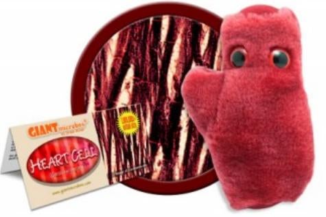 Site Giant Microbes