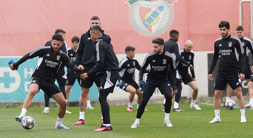 Benfica tenta confirmar quartos de final da Liga dos Campeões na receção ao Club  Brugge - Renascença