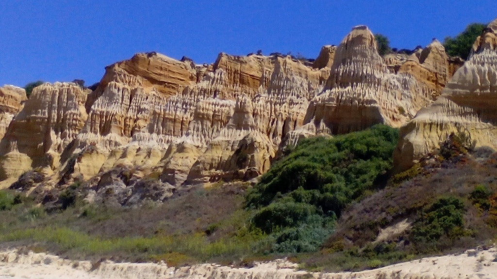  Enviada por Jos&eacute; Agante - Arriba f&oacute;ssil  