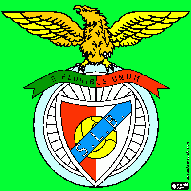 Desporto em Africa