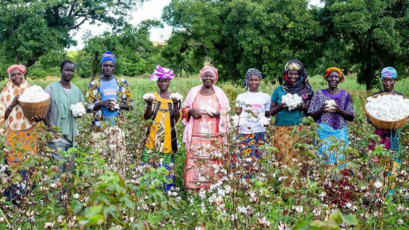 Imagem de Mulheres do mundo Rural são-tomense