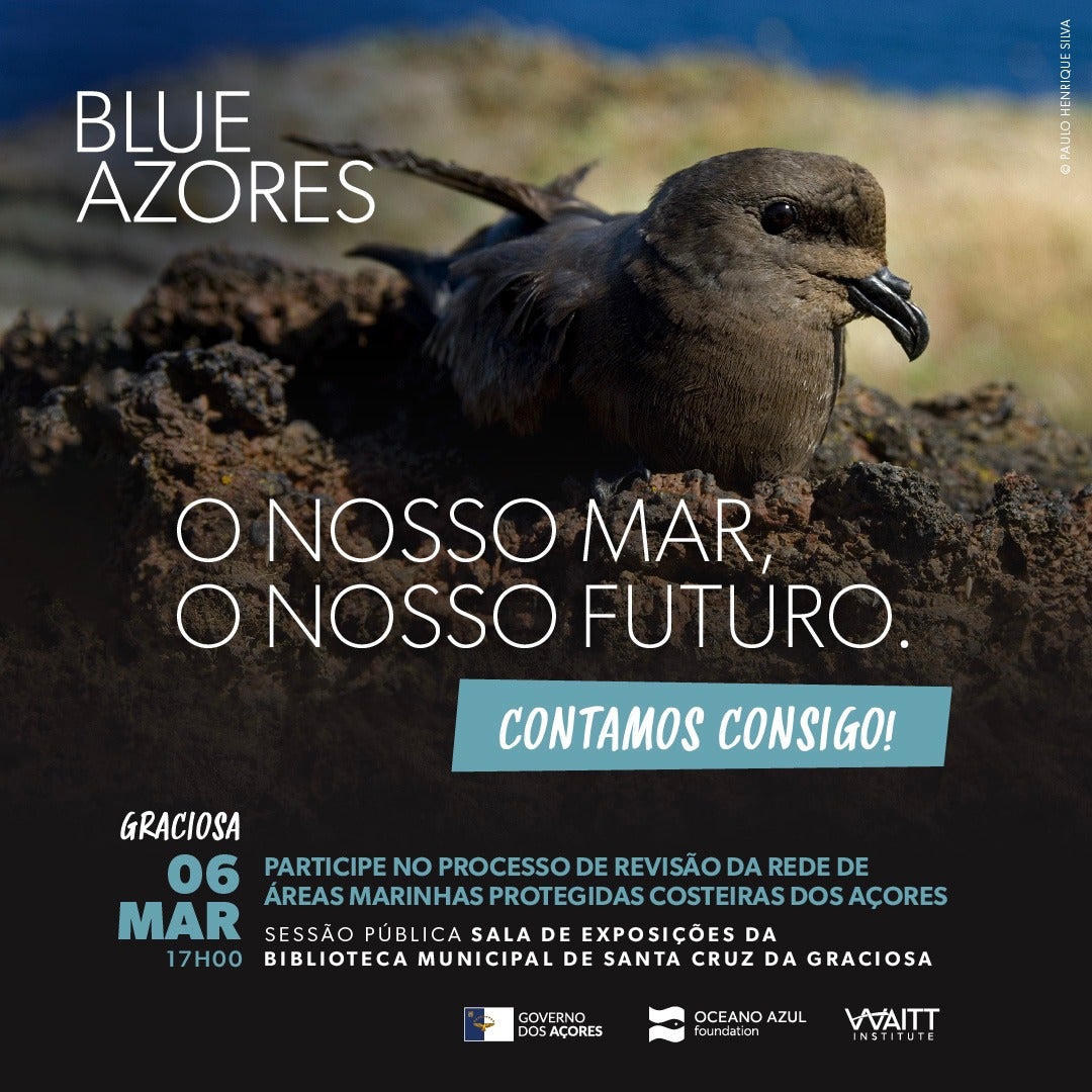 Blue Azores