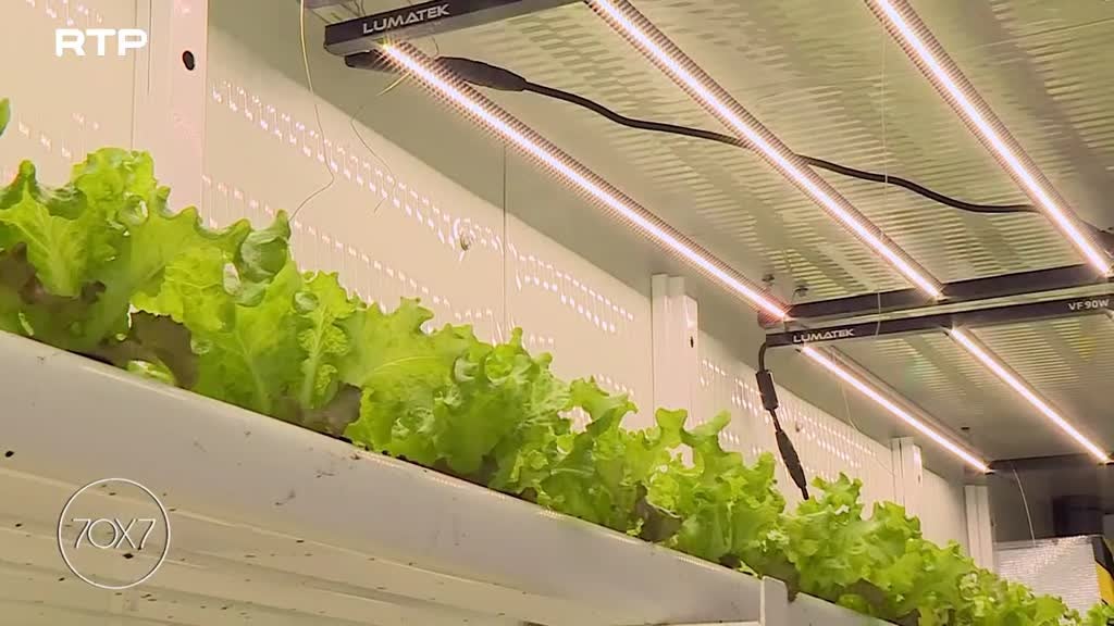 Imagem de 70x7
