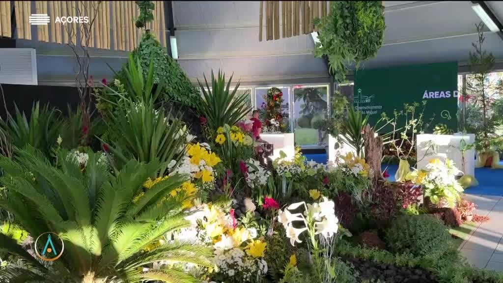 Imagem de Atlântida Açores - Apresentação | Vasco Pernes