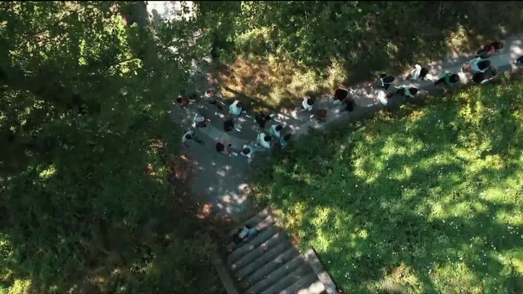 Imagem de Caminhos