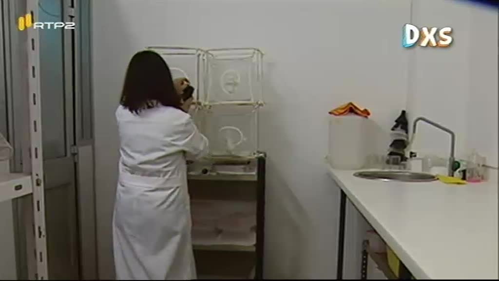 Imagem do Programa / Episiódio - Diário xs