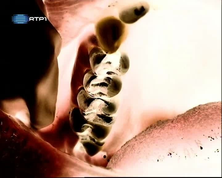 Imagem do Programa / Episiódio - Especial Informação: Festa do Senhor S