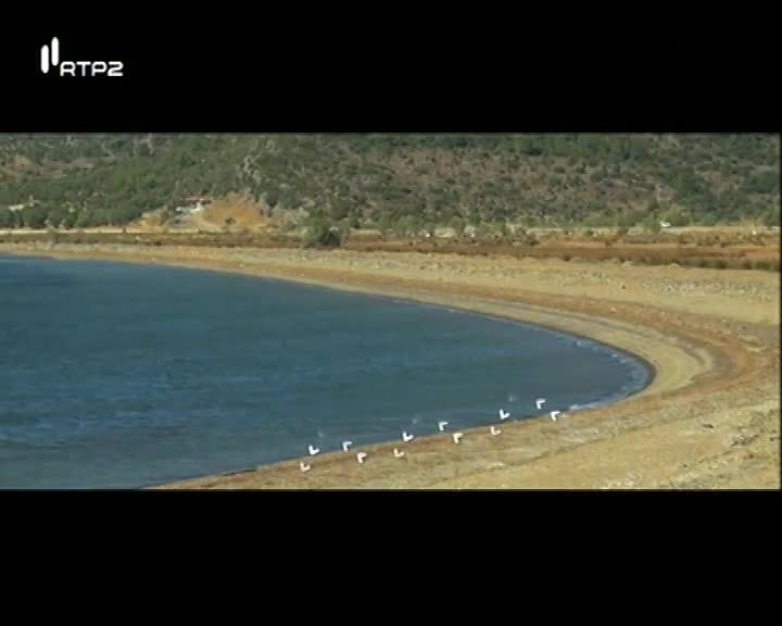 Imagem do Programa / Episiódio - Geosfera - Geoparques Costeiros