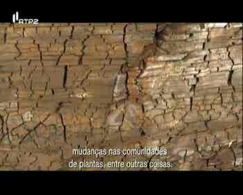 Geoparques e Patrim�nio Paleontol�gi...