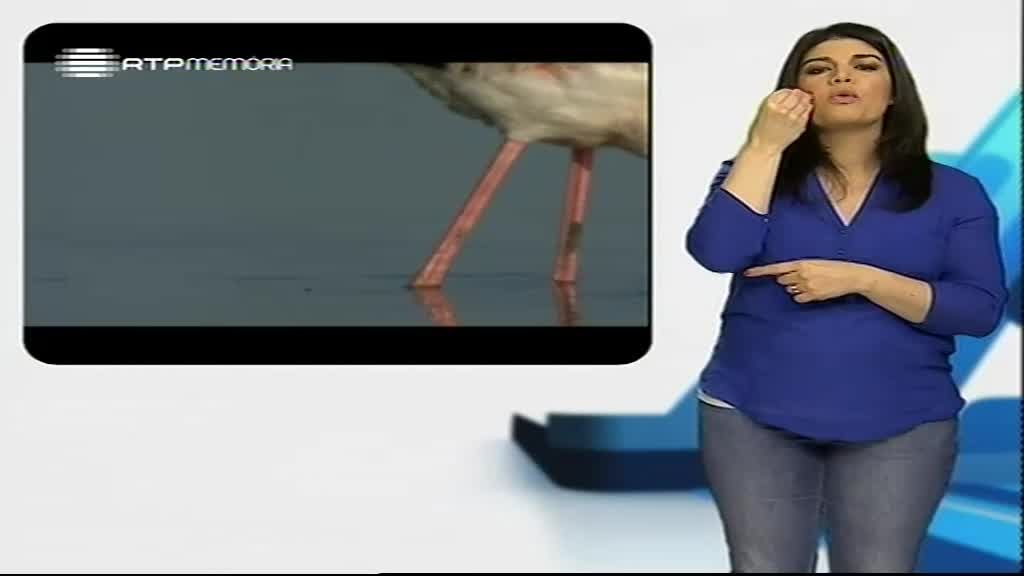 Imagem do Programa / Episiódio - Grandes Memórias