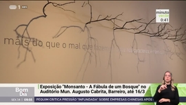 Minuto Verde