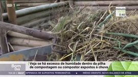 Minuto Verde