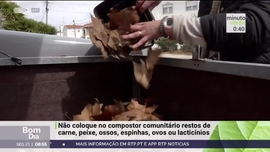 Imagem de Minuto Verde