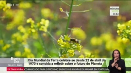 Imagem de Minuto Verde