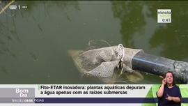 Imagem de Minuto Verde