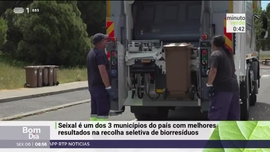 Imagem de Minuto Verde