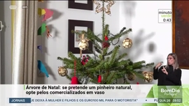 Imagem de Minuto Verde