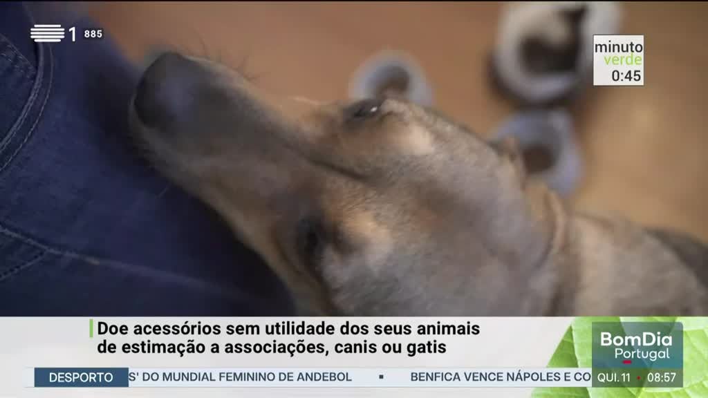 Imagem de Minuto Verde