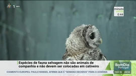 Imagem de Minuto Verde