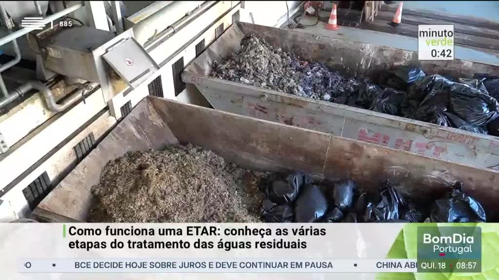 Imagem de Minuto Verde