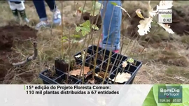 Imagem de Minuto Verde