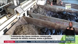 Imagem de Minuto Verde