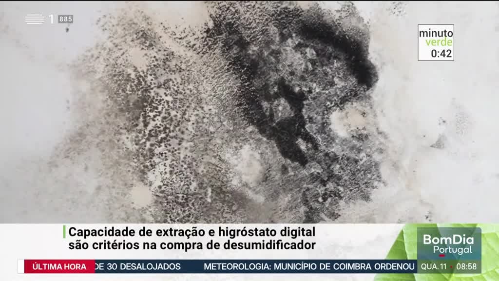 Imagem de Minuto Verde