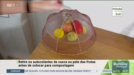 Imagem de Minuto Verde