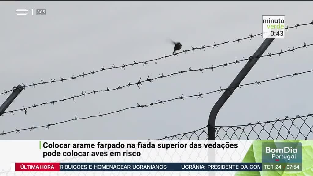 Imagem de Minuto Verde