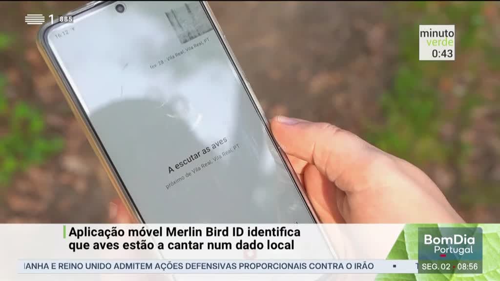 Imagem de Minuto Verde