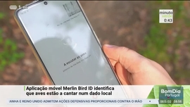 Imagem de Minuto Verde