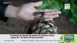 Imagem de Minuto Verde