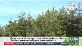 Imagem de Minuto Verde