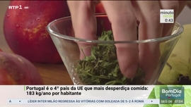 Imagem de Minuto Verde