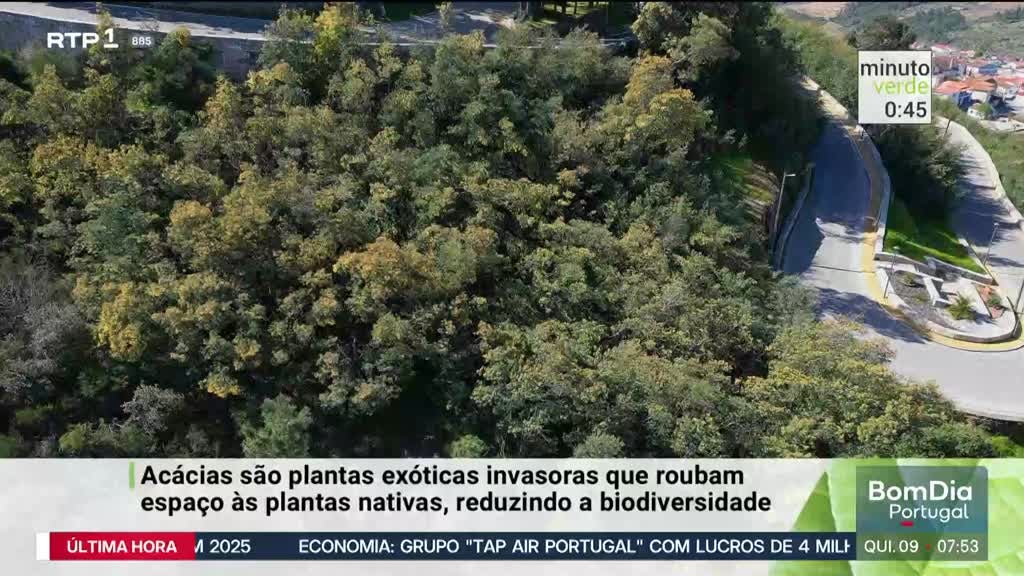 Imagem de Minuto Verde