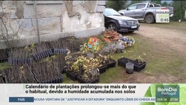 Imagem de Minuto Verde