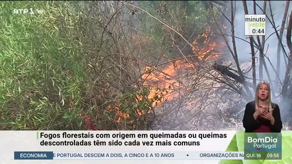 Imagem de Minuto Verde