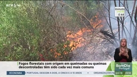 Imagem de Minuto Verde