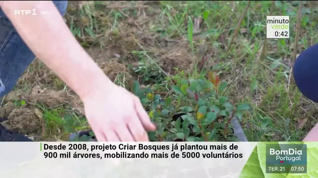 Imagem de Minuto Verde