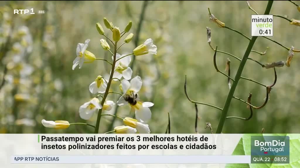 Imagem de Minuto Verde