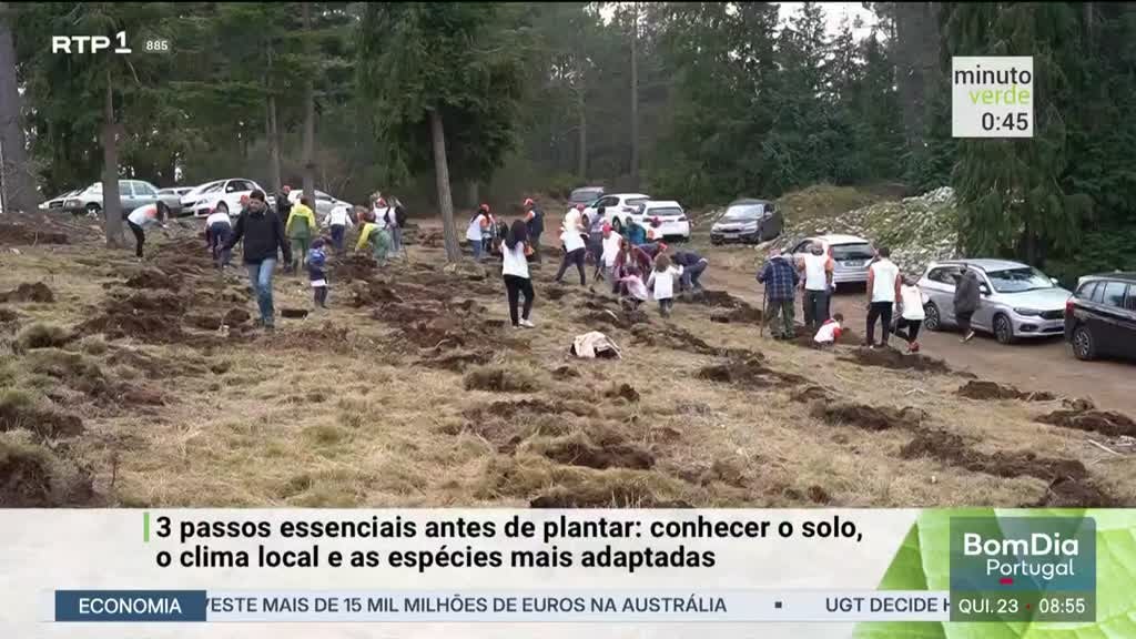 Imagem de Minuto Verde